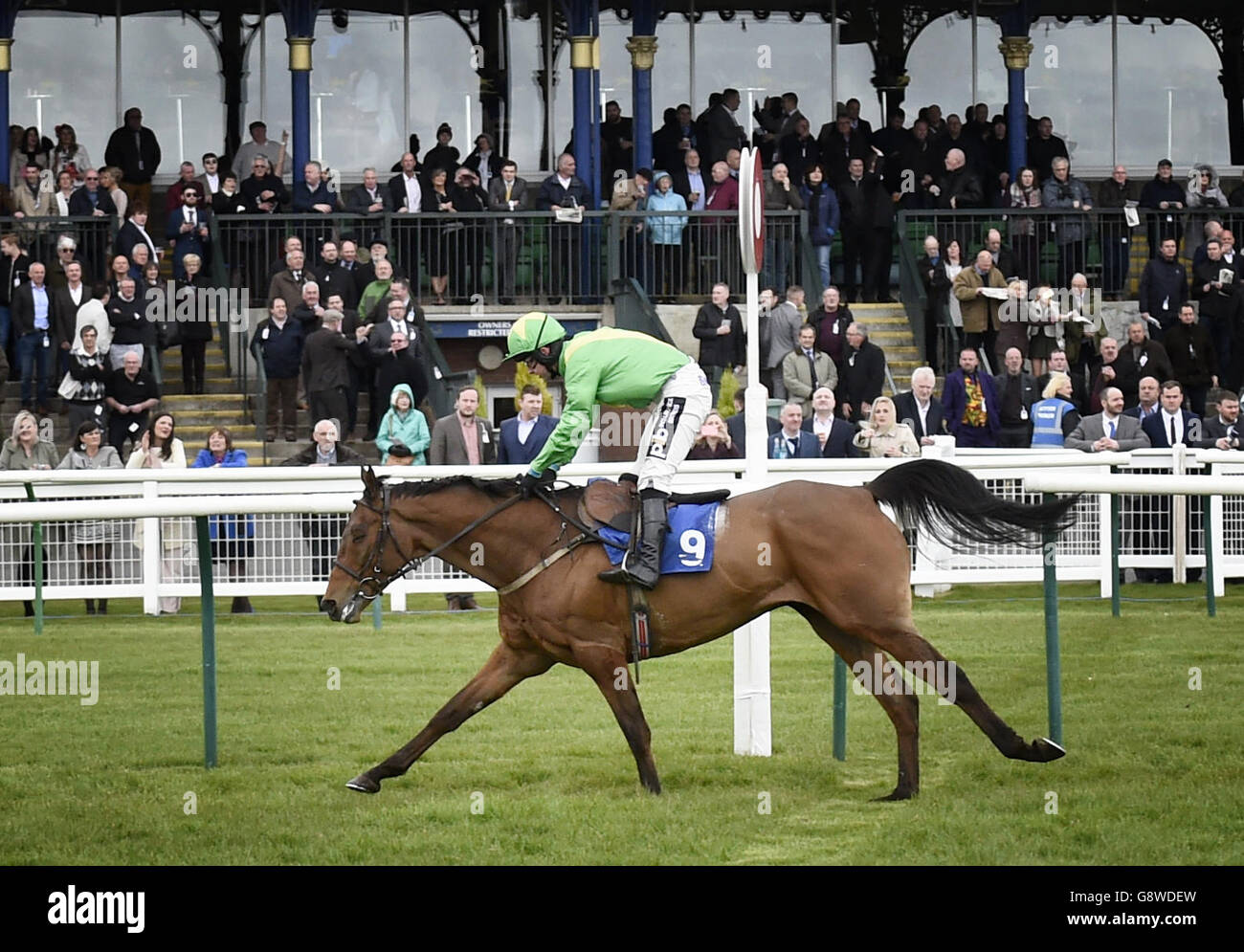 Arctic Court ridden by Sean Bowen wins the Sekoo Logistics Scotland Handicap Hurdle Race during Ladies Day of the Coral Scottish Grand National Festival at Ayr Racecourse. Stock Photo