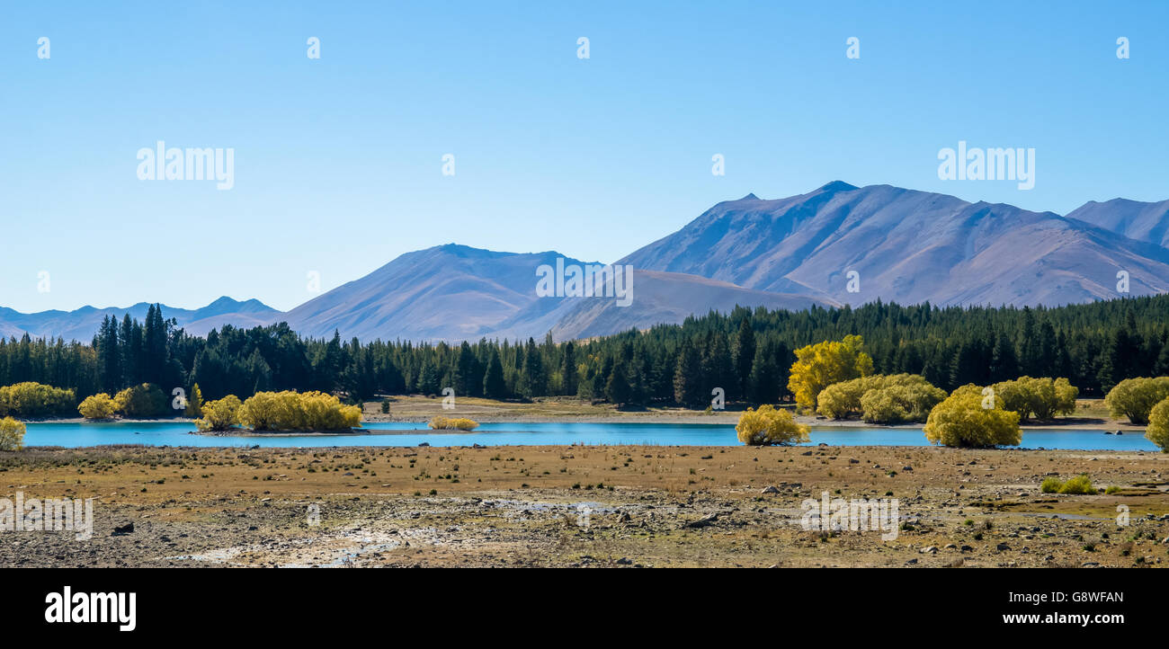 Lake Tekapo in New Zealand Stock Photo - Alamy