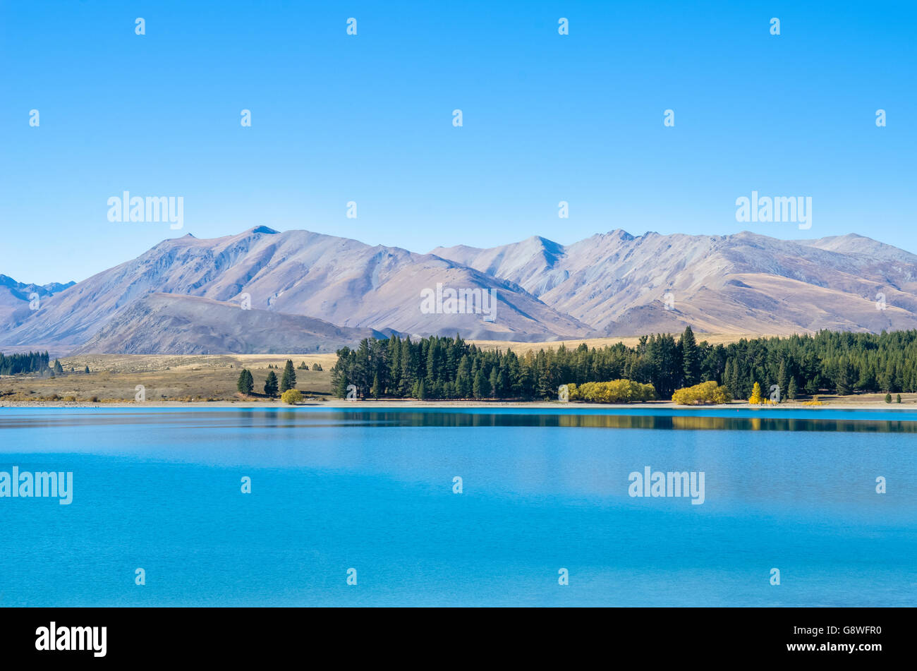 Lake Tekapo in New Zealand Stock Photo - Alamy