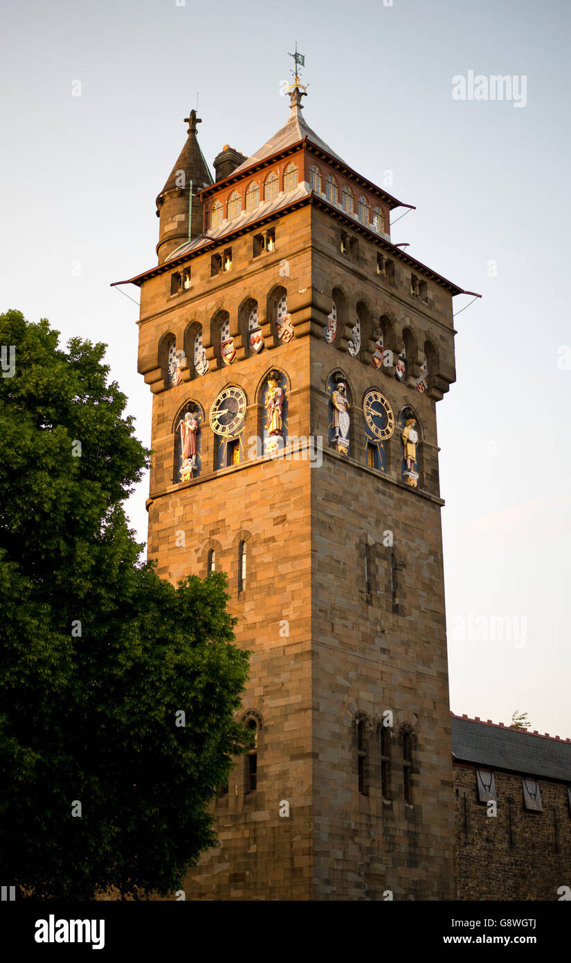 Cardiff Castle Clock Tower at sunset Stock Photo