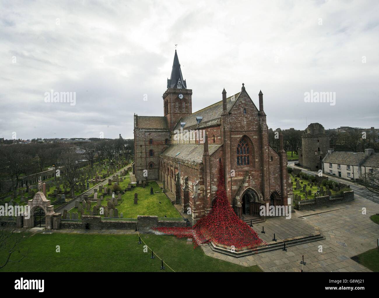 The Weeping Window sculpture made of ceramic poppies at St Magnus Cathedral in Orkney, Scotland, part of a UK-wide tour organised by 14-18 NOW. Stock Photo