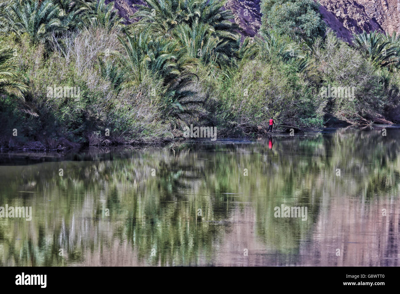 Palms and trees along a river, with reflections in the water. Stock Photo