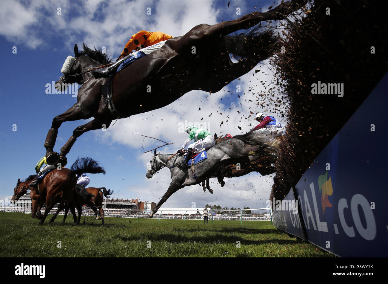 Runners and riders in the Weatherbys Private Bank Novices' Limited Handicap Steeple Chase (Class 2) during Scottish Grand National Day at the Coral Scottish Grand National Festival at Ayr Racecourse. Stock Photo