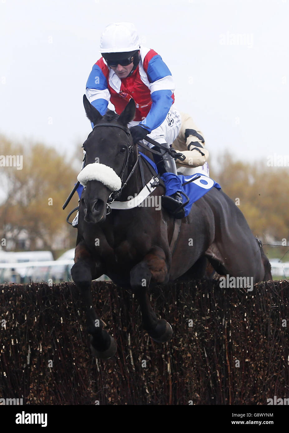 Ayr Races Coral Scottish Grand National Scottish Grand National Day