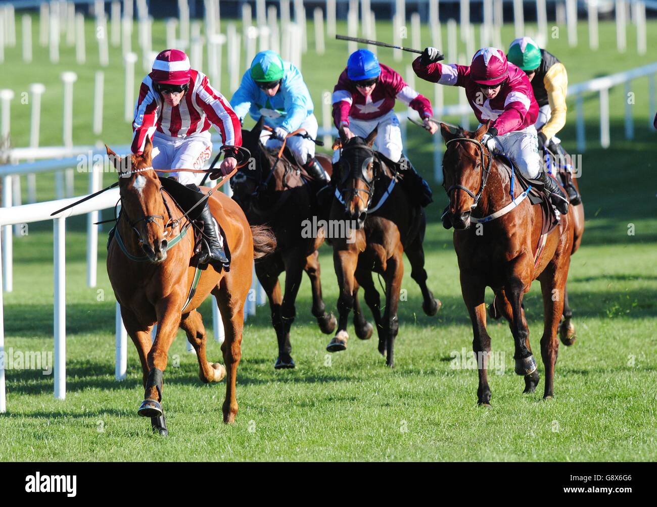 Zabana and jockey Davy Russell go on to win the Growise Champion Novice Chase during day one of the Punchestown Festival at Punchestown, Co. Kildare, Ireland. Stock Photo