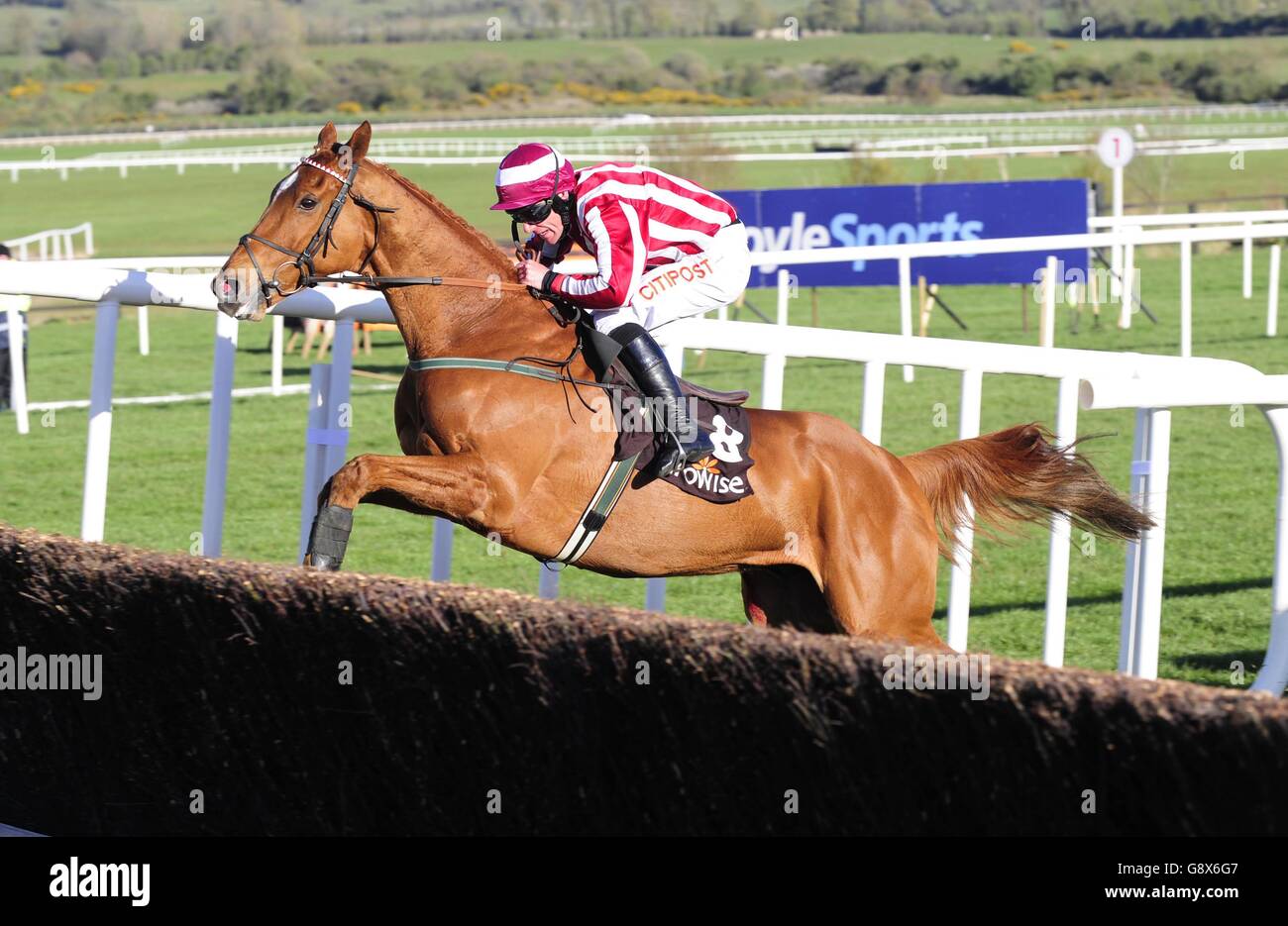 Zabana and jockey Davy Russell go on to win the Growise Champion Novice Chase during day one of the Punchestown Festival at Punchestown, Co. Kildare, Ireland. Stock Photo