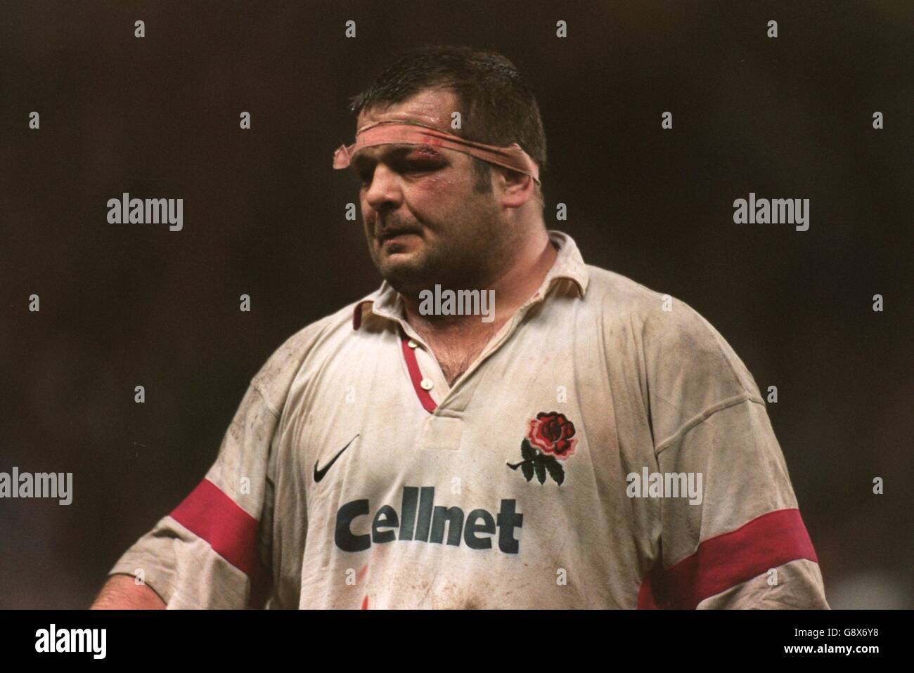Rugby Union England v South Africa Stock Photo Alamy