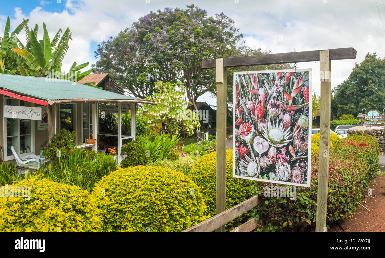 Proteas of Hawaii flower shop next to Kula Lodge in upcountry Maui Stock Photo