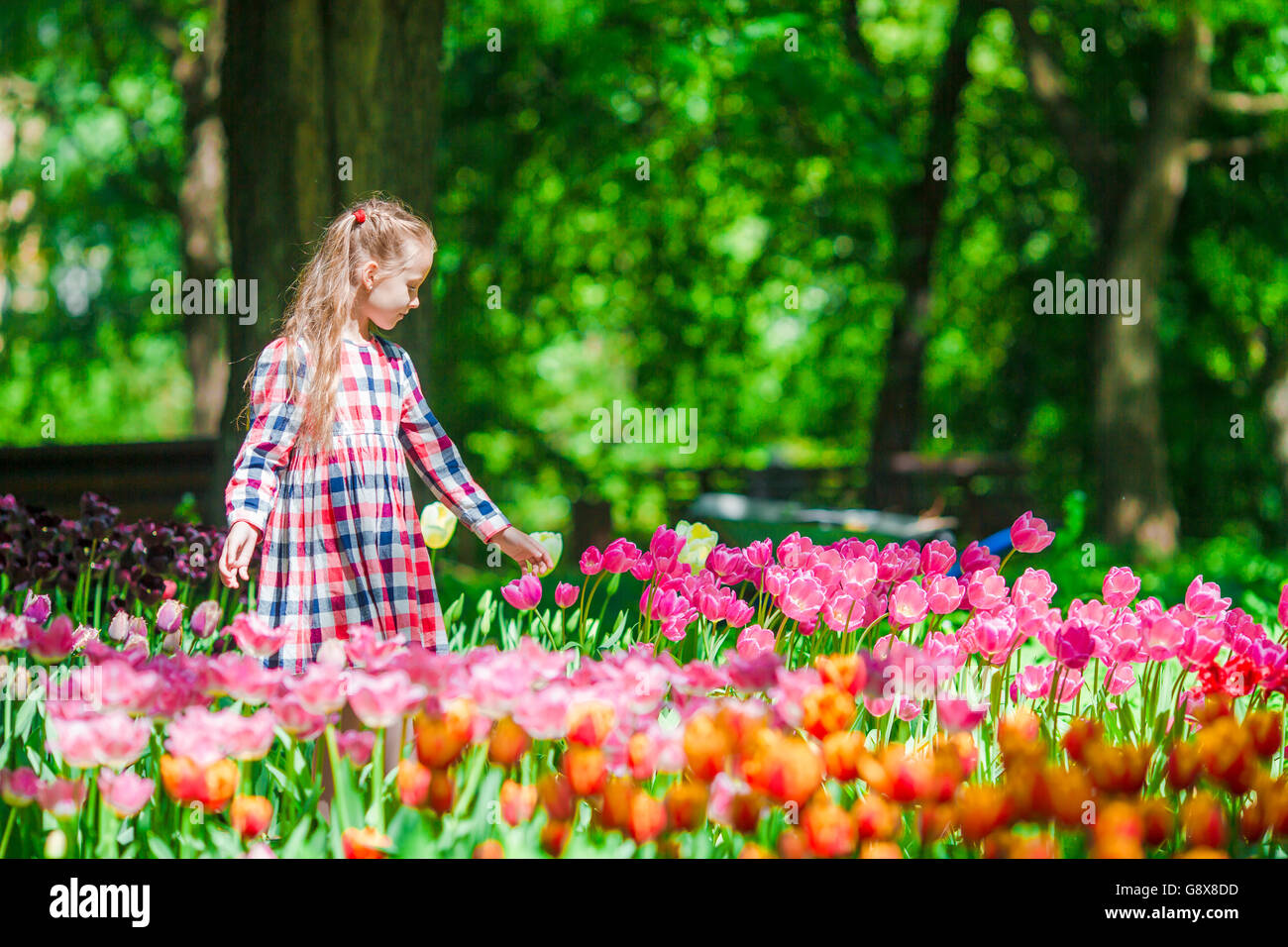 Little adorable girl in blooming tulips garden Stock Photo - Alamy
