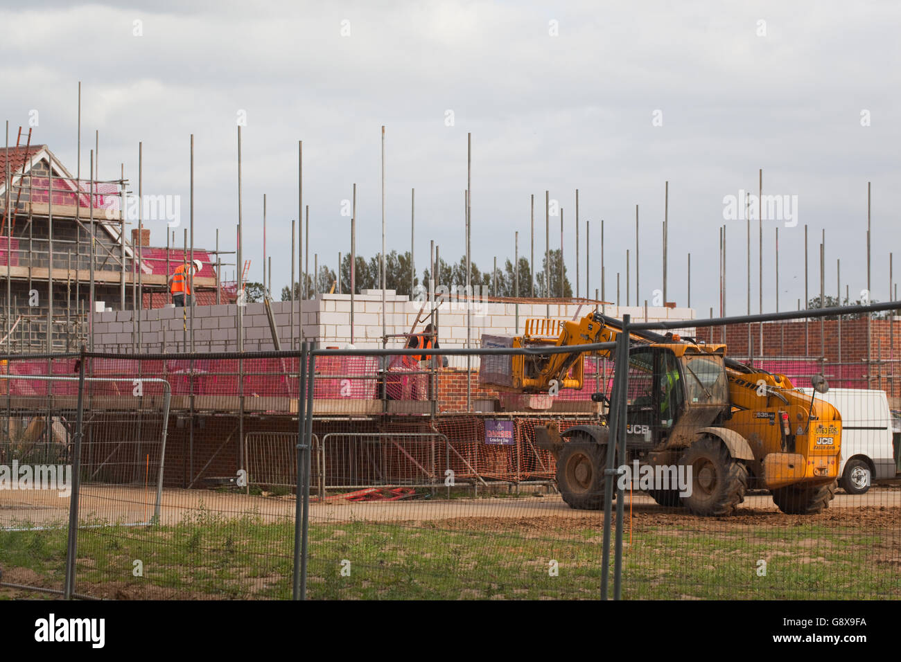 Housing development. Greenfield, rural site. Stalham. Norfolk. East Anglia. England. UK. Stock Photo