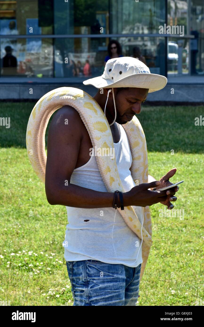 Large snake hi-res stock photography and images - Alamy