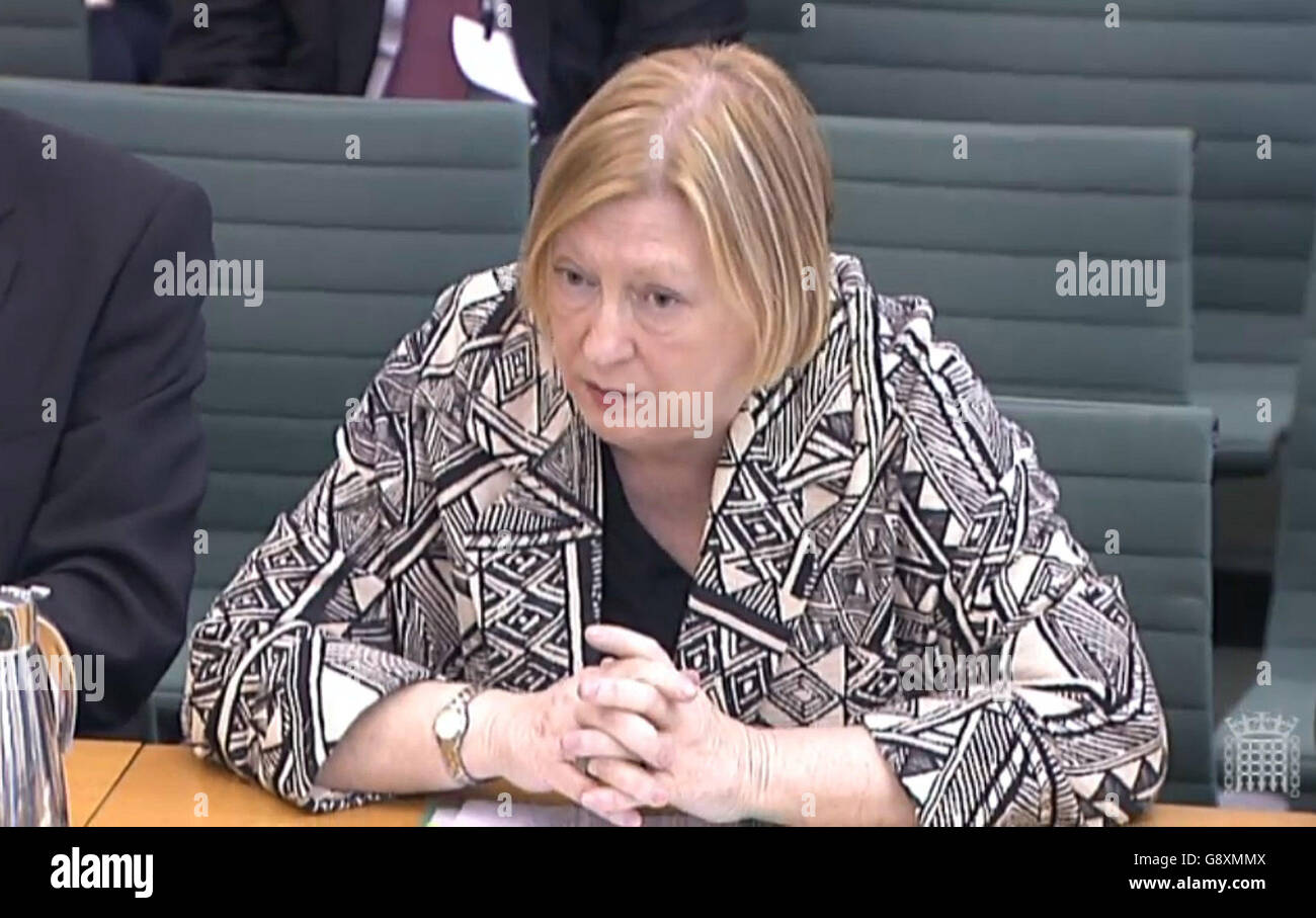 Edwina Hart AM, Minister for the Economy, Science and Transport, gives evidence to the Business, Innovation and Skills Committee at Portcullis House, London, about the crisis in the steel industry and efforts to save thousands of jobs. Stock Photo