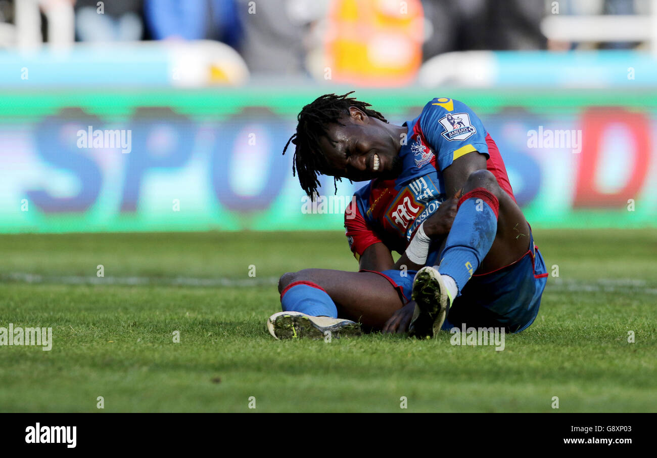 Crystal Palace's Pape Souare lies injured during the Barclays Premier League match at St James' Park, Newcastle. Stock Photo