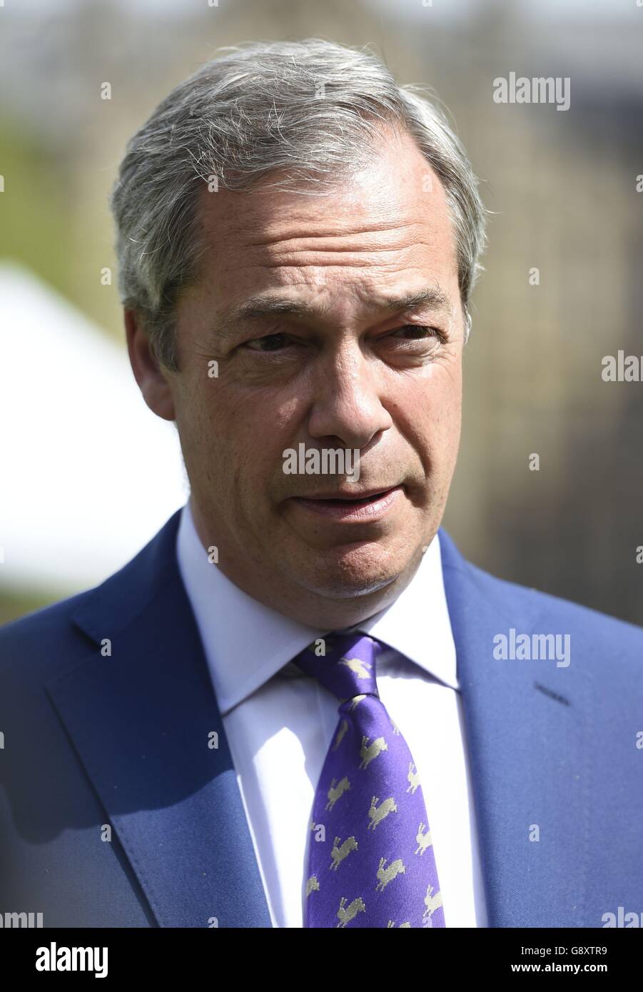 Local council elections 2016 Stock Photo Alamy