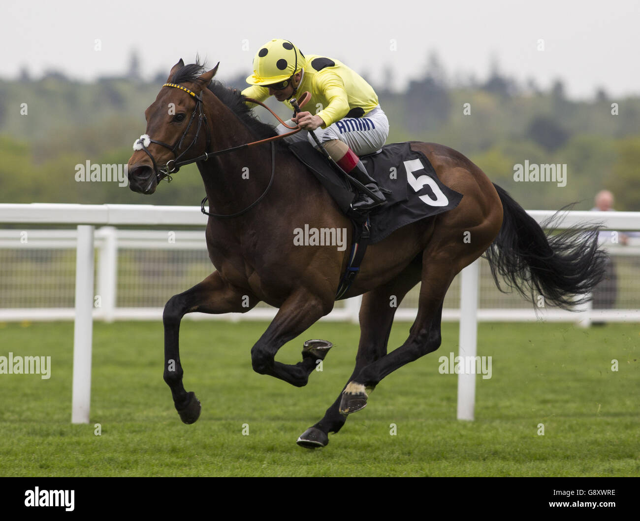 Victoria Cup Raceday Ascot Racecourse Stock Photo Alamy