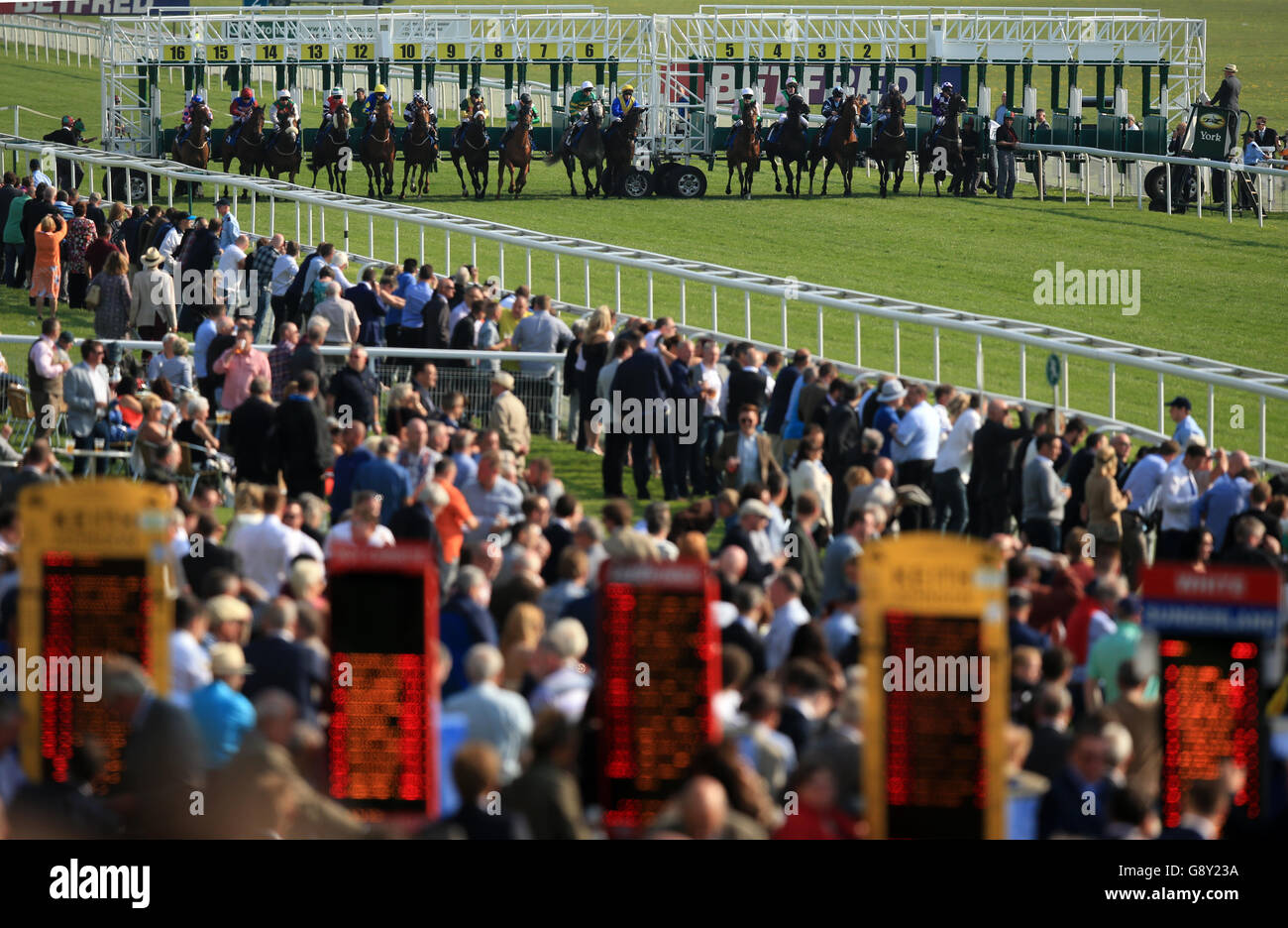 Horses leave the stalls in the Racing UK Now In HD Handicap during day two of the Dante Festival at York Racecourse. Stock Photo