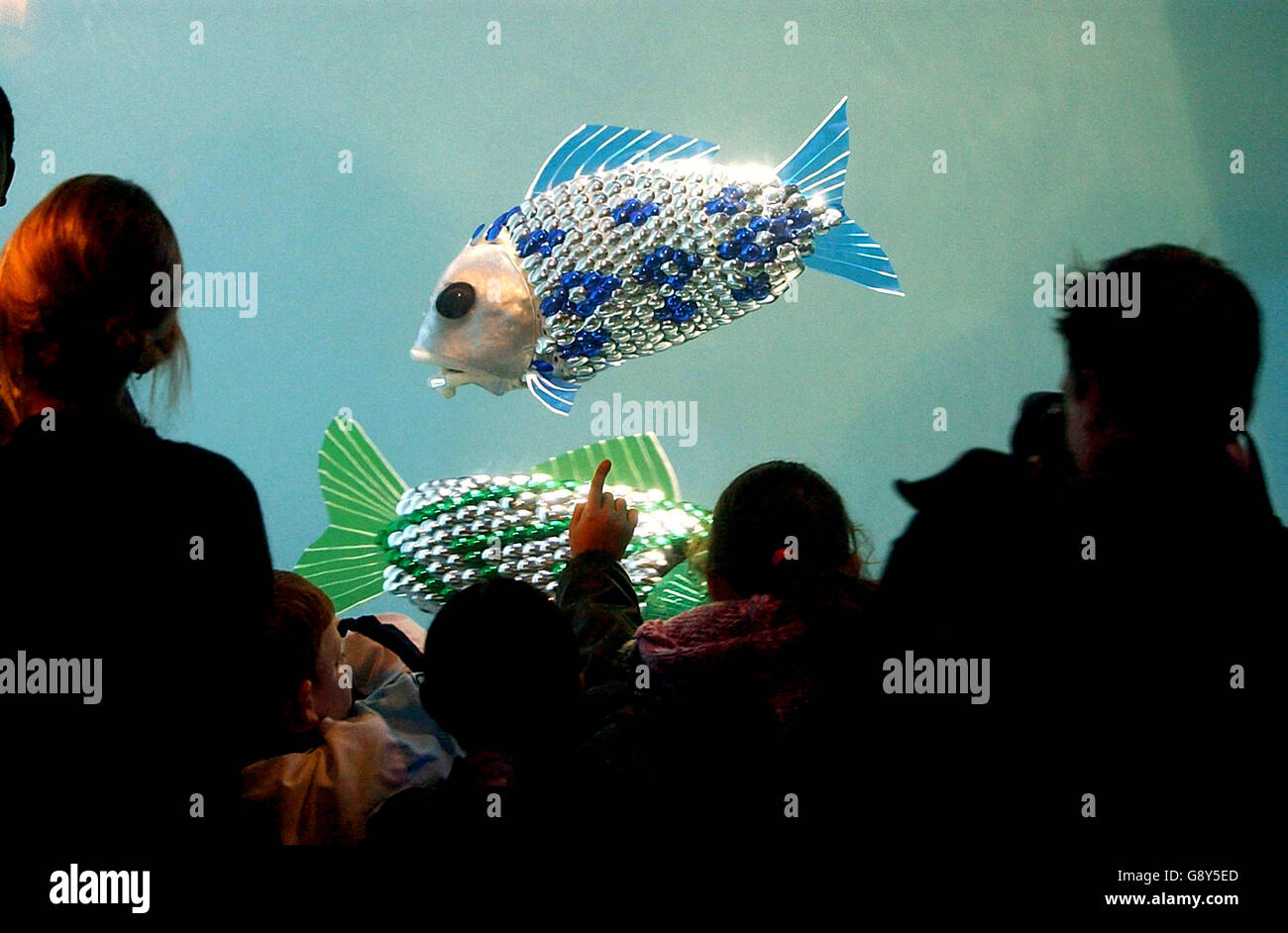 The world's first autonomously-controlled robotic fish was unveiled at the  London Aquarium. Visitors to the London Aquarium view robotic fish in a  specially adapted tank. The fish, designed by Professor Huosheng Hu,