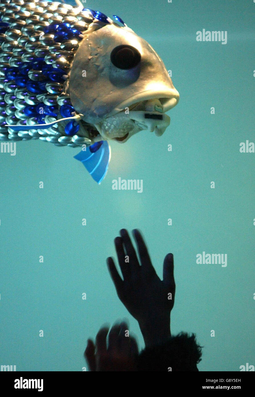 Robotic Fish London Aquarium Stock Photo Alamy