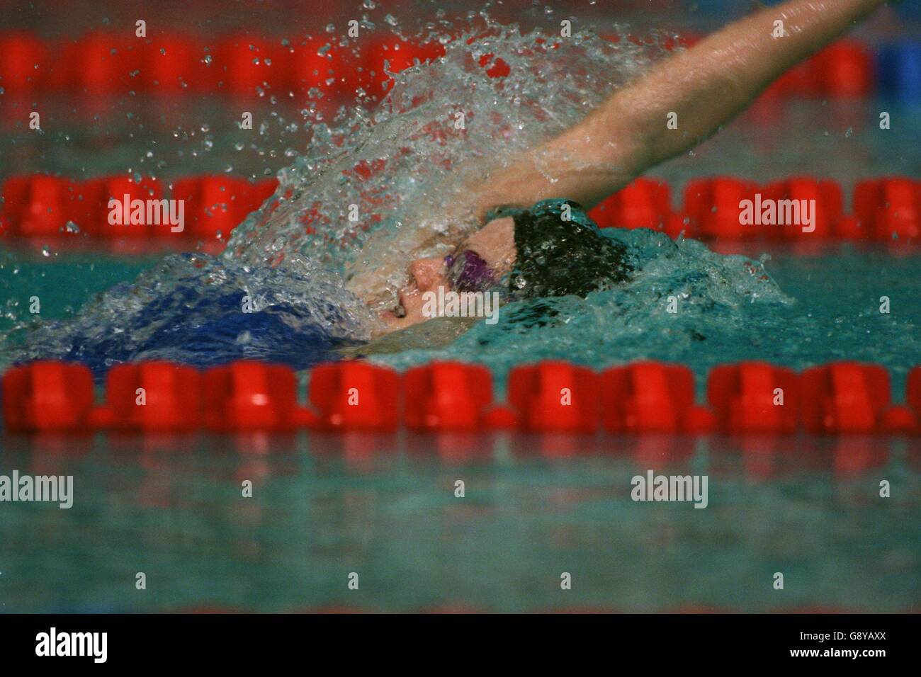 Swimming British Championships Sheffield Stock Photo Alamy