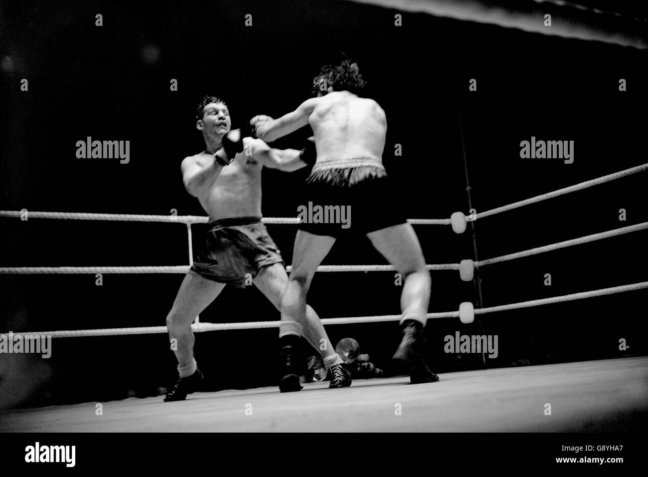 Freddie Mills FANTASTIC Boxing 10x8 Photo 