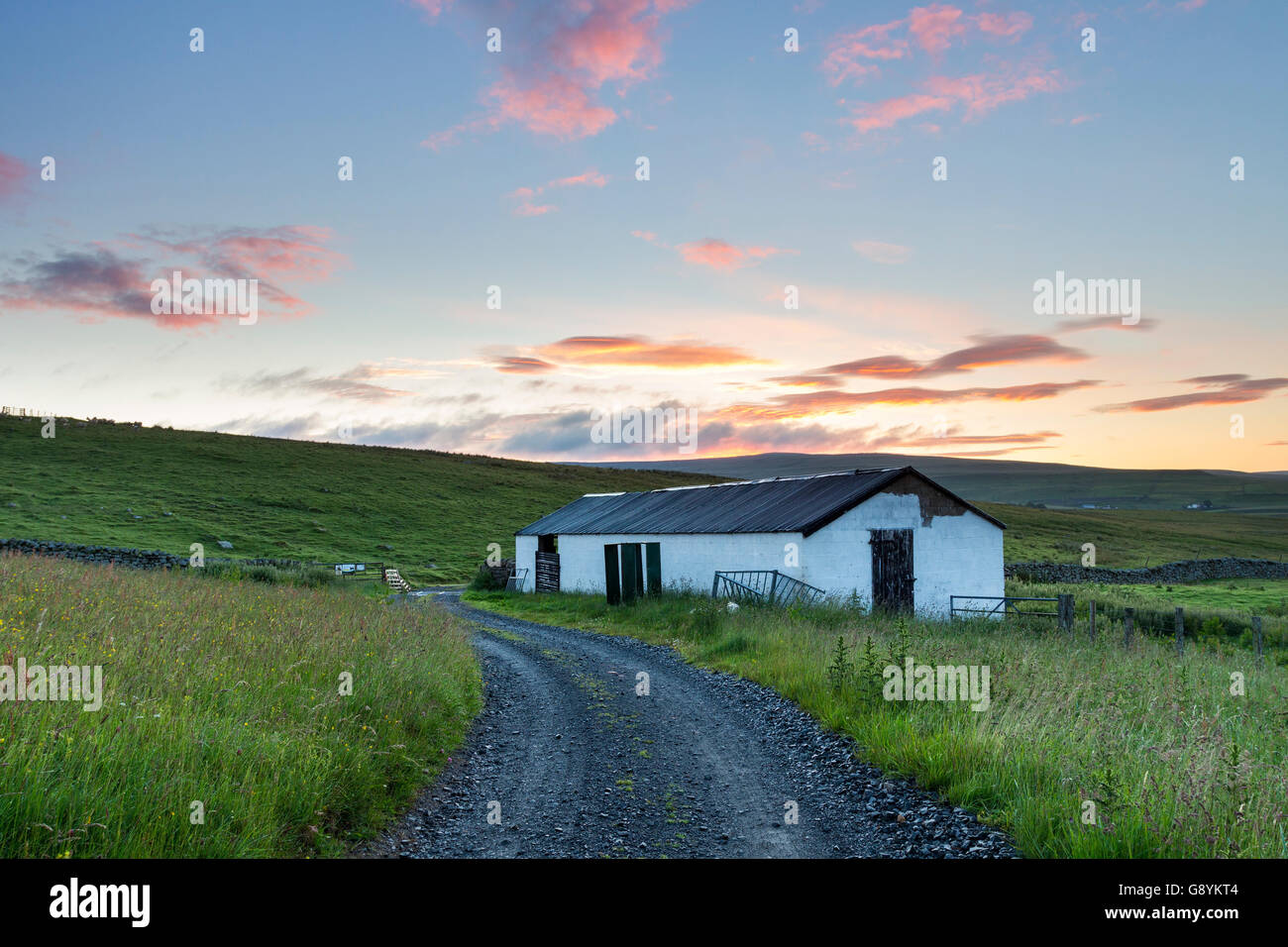 Widdybank Farm, Upper Teesdale, County Durham UK. Thursday 30th June 2016.  UK Weather. It was a cool but bright start to the day in the North Pennines.  The forecast is for a mostly dry day with sunny spells, but by evening outbreaks of rain are expected to spread east. Credit:  David Forster/Alamy Live News Stock Photo