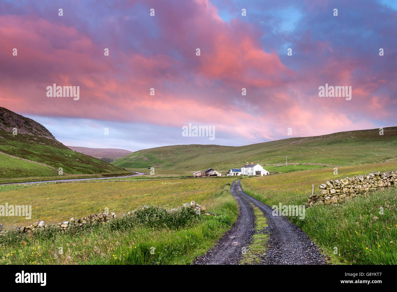 Widdybank Farm, Upper Teesdale, County Durham UK. Thursday 30th June 2016.  UK Weather. It was a cool but bright start to the day in the North Pennines.  The forecast is for a mostly dry day with sunny spells, but by evening outbreaks of rain are expected to spread east. Credit:  David Forster/Alamy Live News Stock Photo