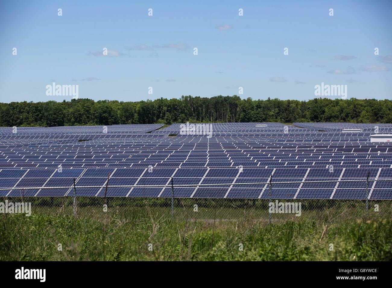 Odessa, Ontario, Canada. 9th June, 2016. A field of solar panels in Odessa,  Ont., on June 9, 2016. © Lars Hagberg/ZUMA Wire/Alamy Live News Stock Photo  - Alamy