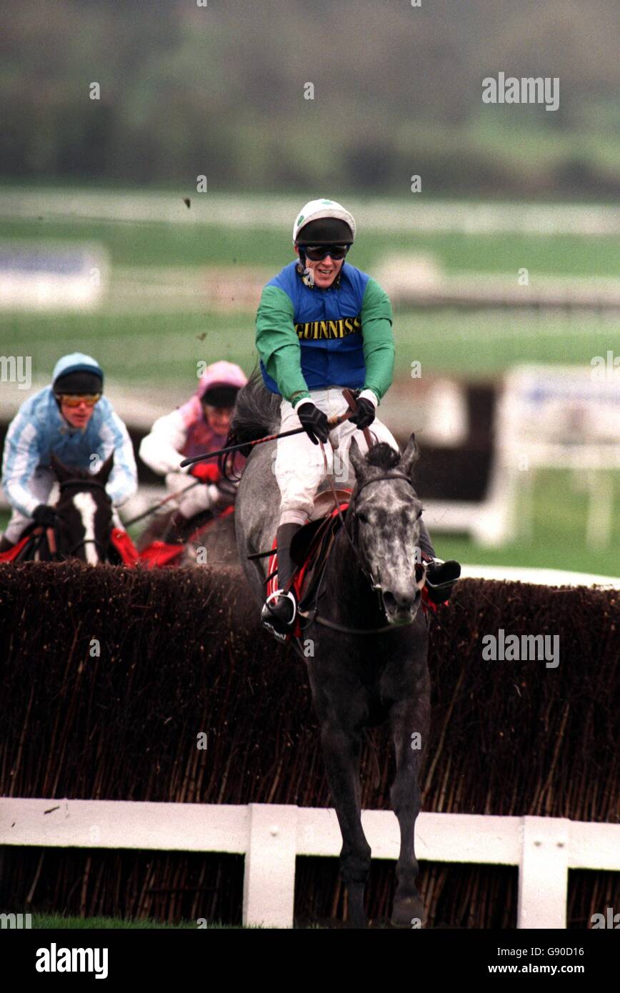 Champleve (grey Horse) ridden by Tony McCoy winner of the 2nd race The Guinness Arkle Challenge Stock Photo