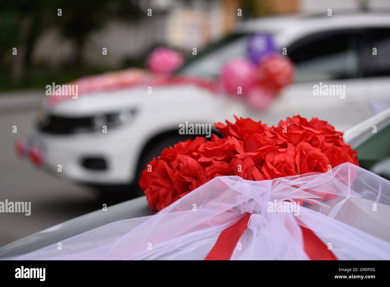 PETALS ribbons bow white or ecru red pink blue  yellow wedding car decorations 