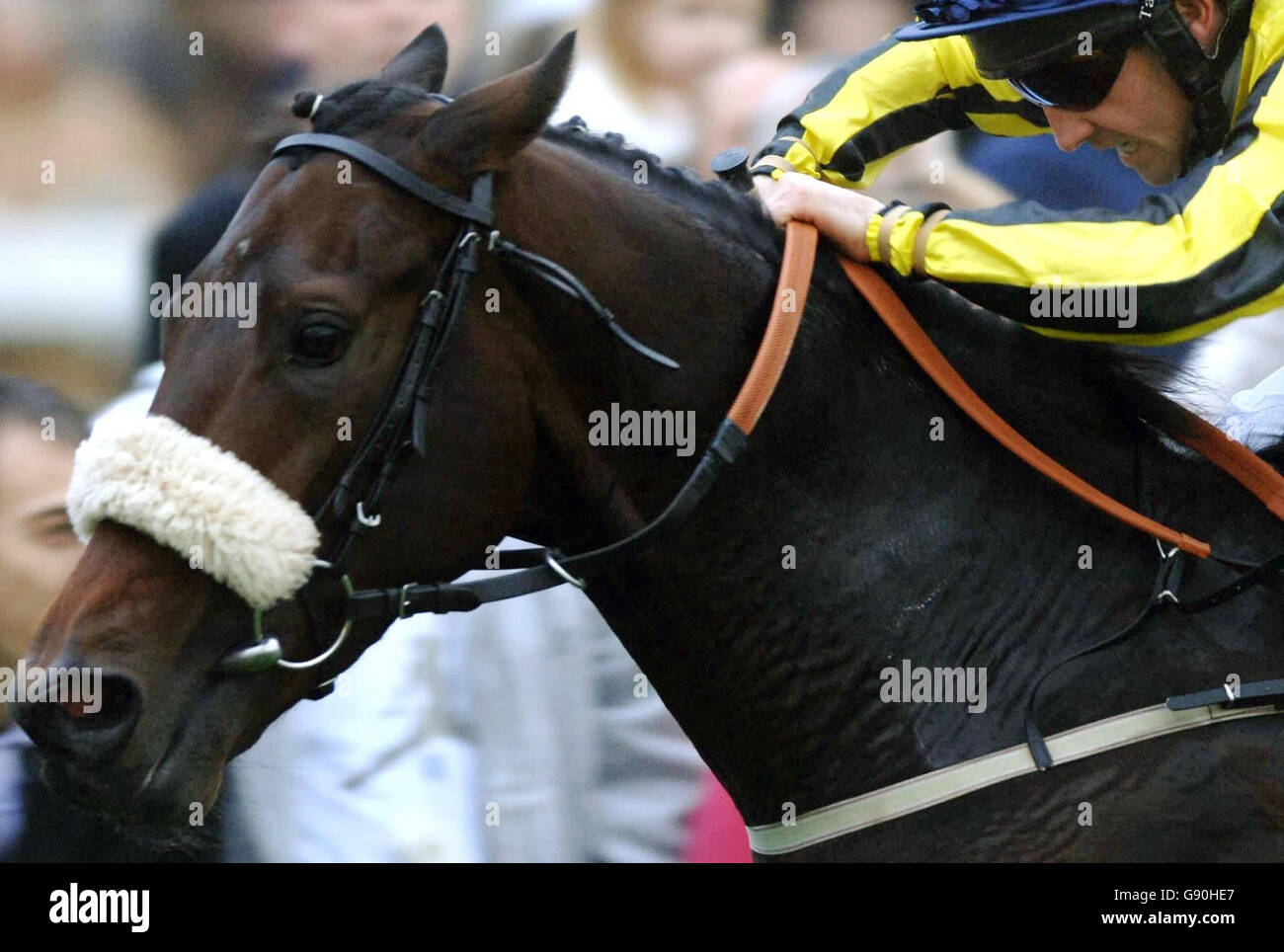 Jon Giles Racing John Giles Pa High Resolution Stock Photography and Images - Alamy