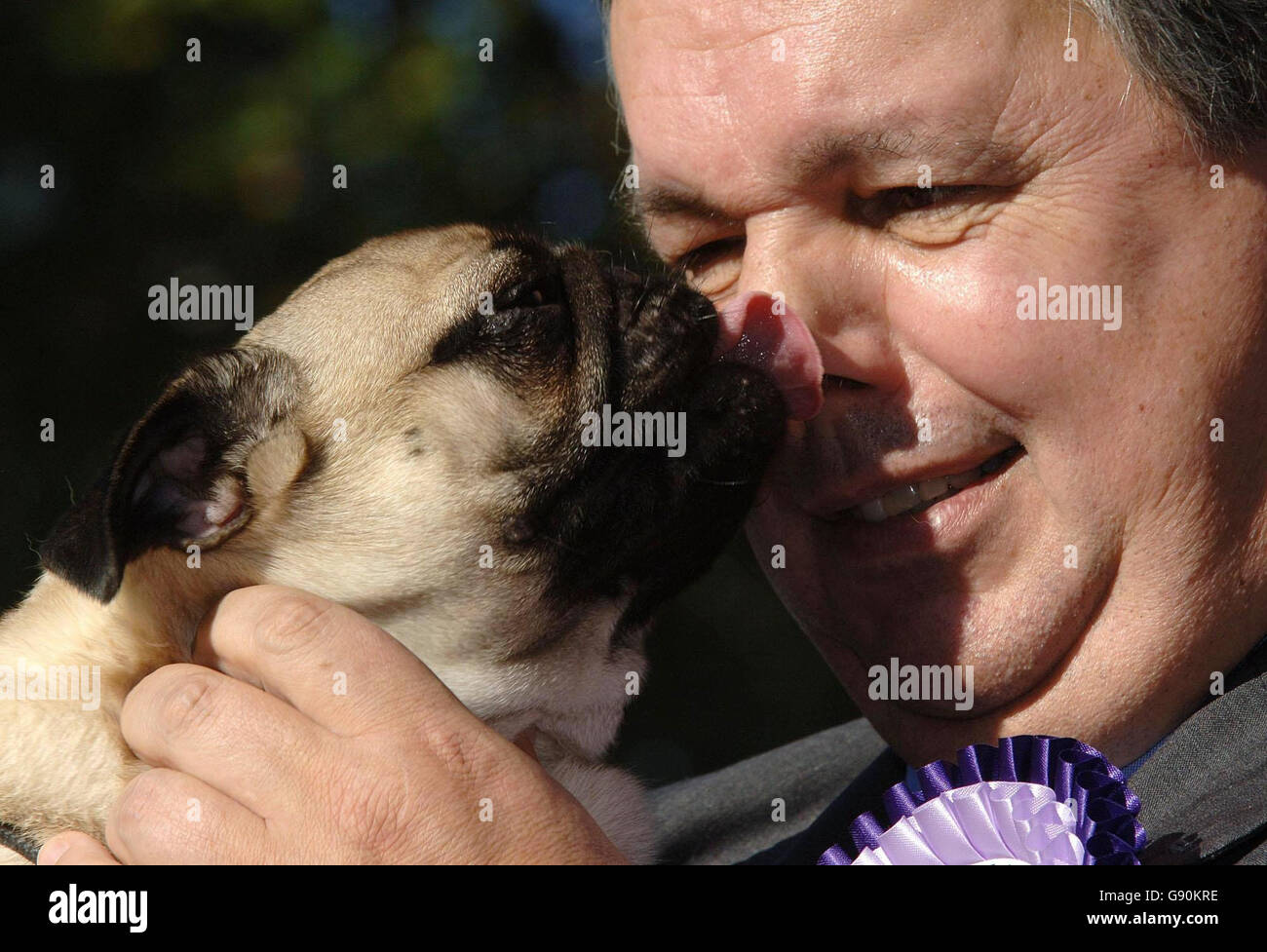 Conservative MP for Banbury, Tony Baldry in central London, Thursday 27 October, 2005, with his 18-month-old pug Torres, the newly-crowned Westminster Dog of the Year. Now in its 13th year the competition run by the Dogs Trust and Kennel Club aims to promote responsible dog ownership and highlight the special bond between dogs and their owners and was keenly contested by 17 candidates this year. See PA story ANIMALS Westminster. PRESS ASSOCIATION photo. Photo credit should read: Matthew Fearn/PA. Stock Photo