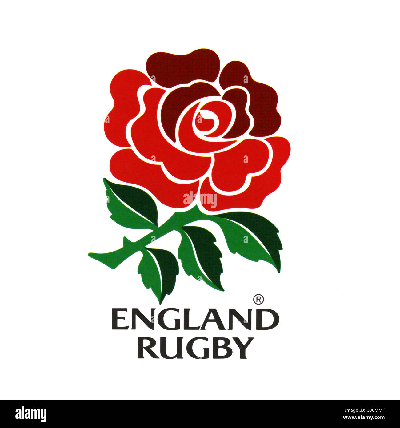 Rugby england english rose hi-res stock photography and images - Alamy