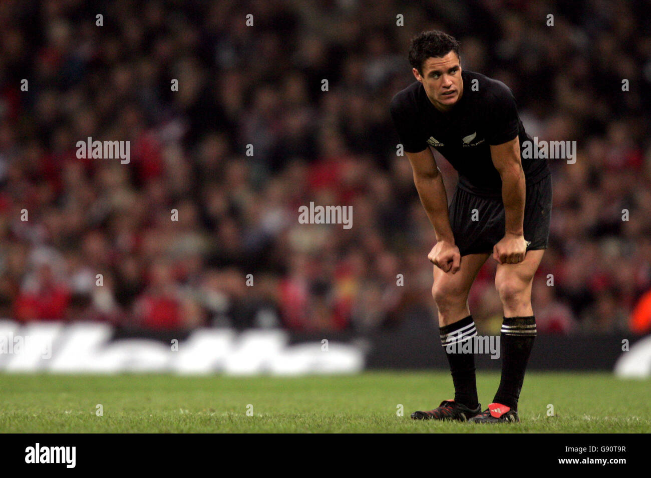 Rugby Union - Friendly - Wales v New Zealand - Millennium Stadium. Dan Carter, New Zealand Stock Photo