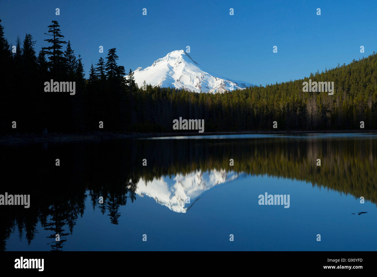Mt Hood with reflection from Frog Lake, Mt Hood National Forest, Oregon