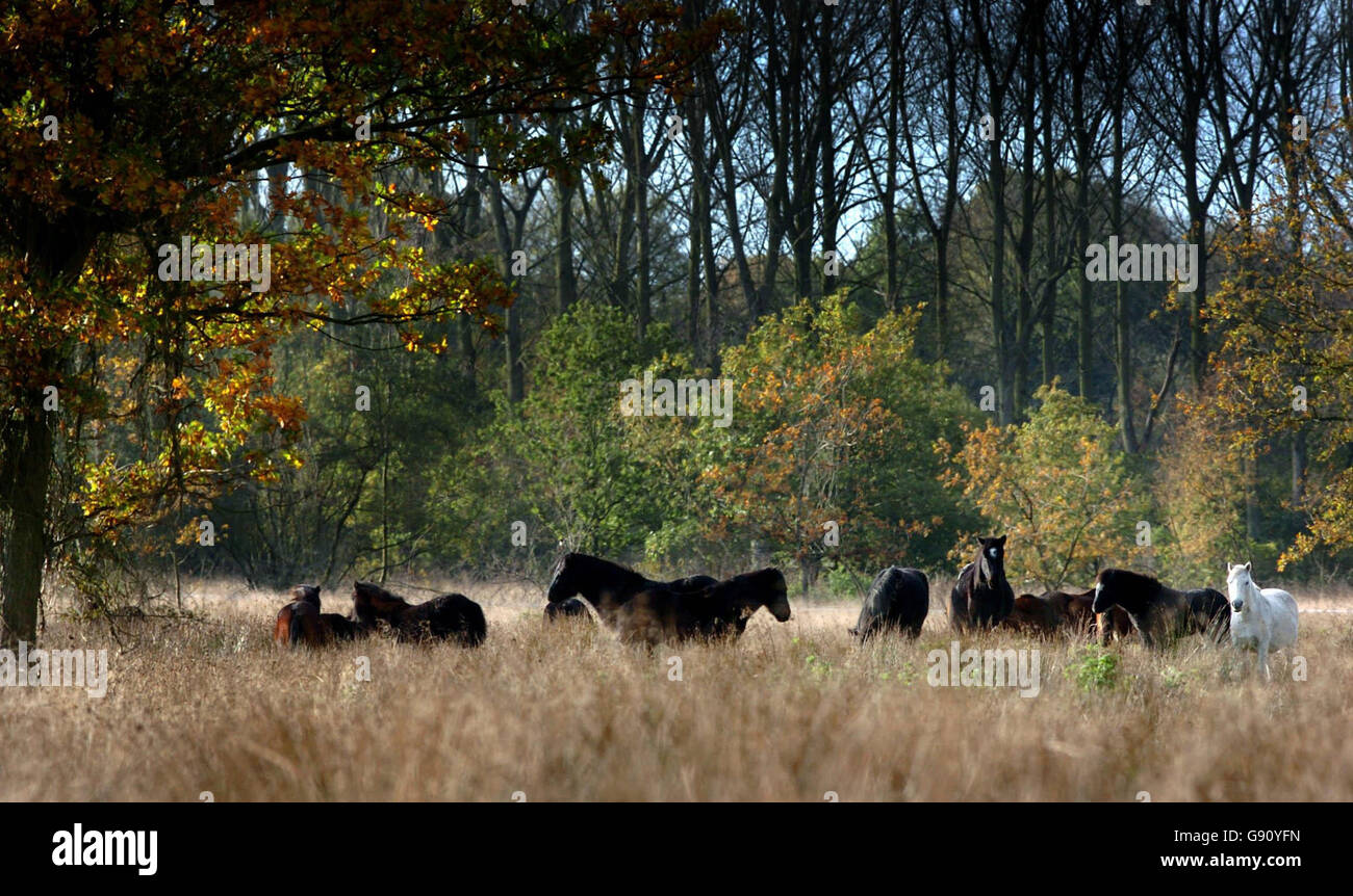 Learn from animals hi-res stock photography and images - Alamy