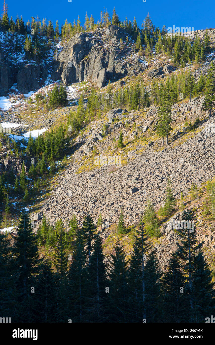 Tom Dick and Harry Mountain from Mirror Lake Trail, Mt Hood National Forest, Oregon Stock Photo