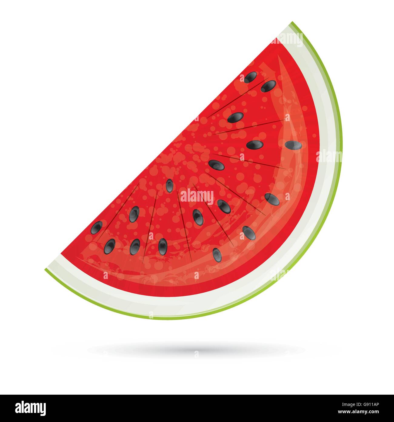 Watermelon slice. Watermelon Icon Isolated on White. Vector Illustration. Red Watermelon with Shadow. Stock Vector