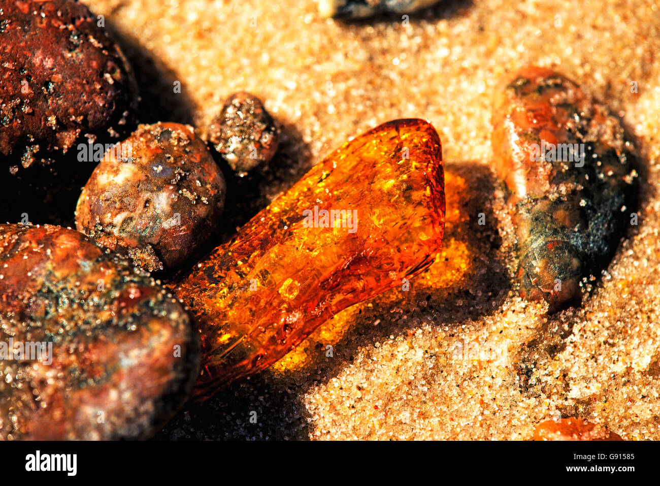 Amber on a beach of the Baltic Sea Stock Photo