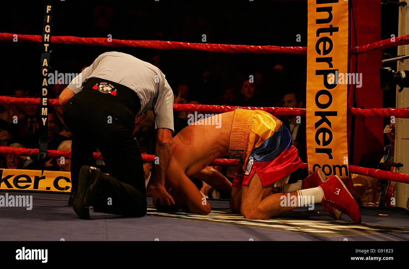 Boxing - IBF/WBA Light-Welterweight Title Unification Fight - Ricky Hatton v Carlos Maussa - Sheffield Arena Stock Photo