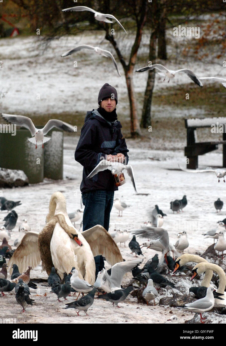 Nineteen year old Simon Waddell feeds the birds and swans in Holyrood Park, Edinburgh, Friday November 25, 2005, as snow fell overnight. Parts of Scotland, England and Wales were today braced for more disruption as winter showers continued. Roads were closed and schoolchildren sent home in the north of Scotland yesterday after the first heavy snowfall of the winter. See PA Story WEATHER Snow. PRESS ASSOCIATION Photo. Photo credit should read: Danny Lawson/PA Stock Photo