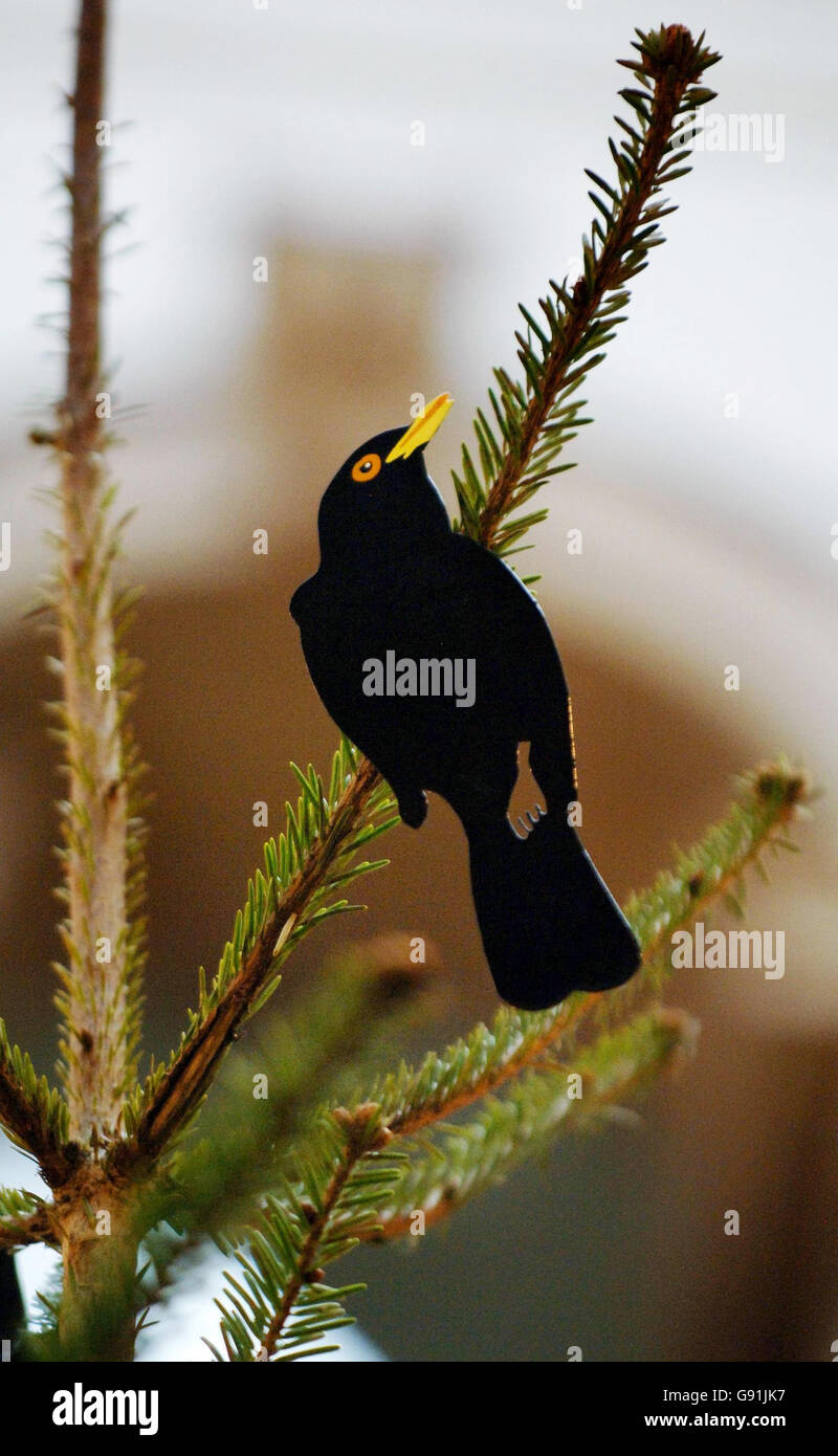 A Christmas tree art work by artist Gary Hume; a traditional Nordmania spruce decorated with a flock of hand-painted steel, stencil-cut blackbirds, on show at Tate Britain, London, Friday December 2, 2005. See PA story ARTS Tree. PRESS ASSOCIATION Photo. Photo credit should read: Fiona Hanson/PA. Stock Photo