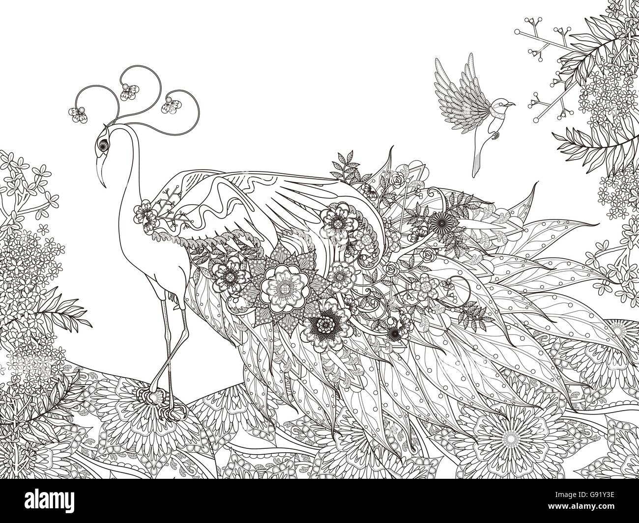 adult coloring page - gorgeous floral feather peacock Stock Vector