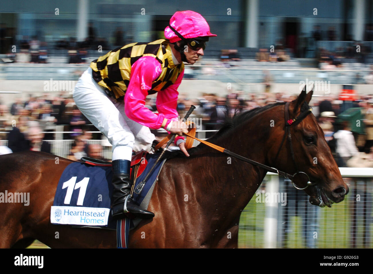 Horse Racing May Festival York Racecourse Stock Photo Alamy
