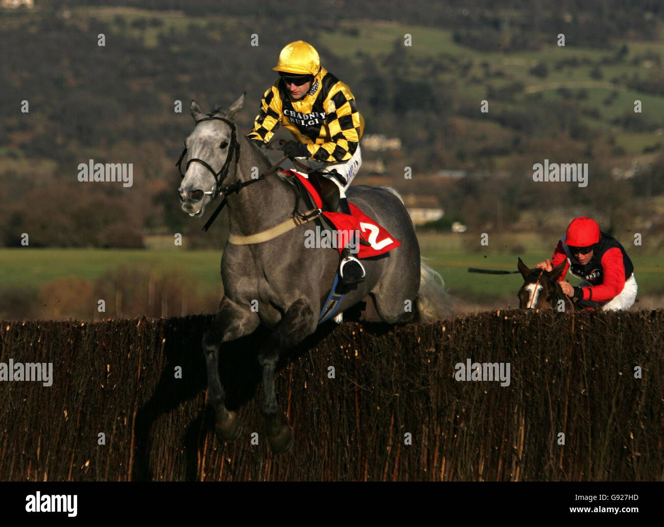 The Listener ridden by Andrew Thornton jumps the last to win the Unicoin Homes 'Dipper' Novices' Steeple Chase at Cheltenham racecourse, Sunday January 1, 2006. PRESS ASSOCIATION Photo. Photo credit should read: David Davies/PA. Stock Photo