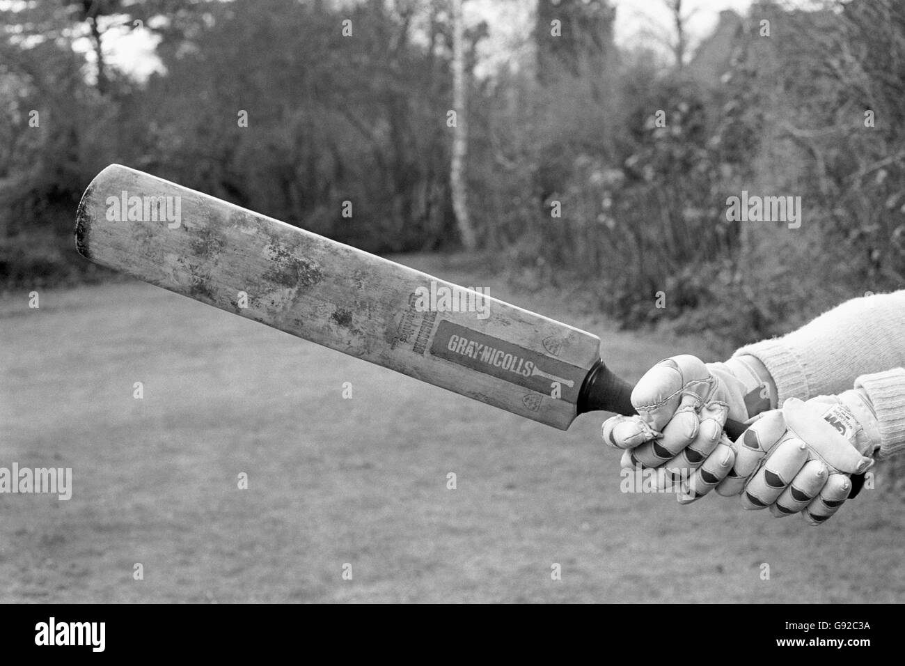 Cricket Cricket Bat Stock Photo Alamy