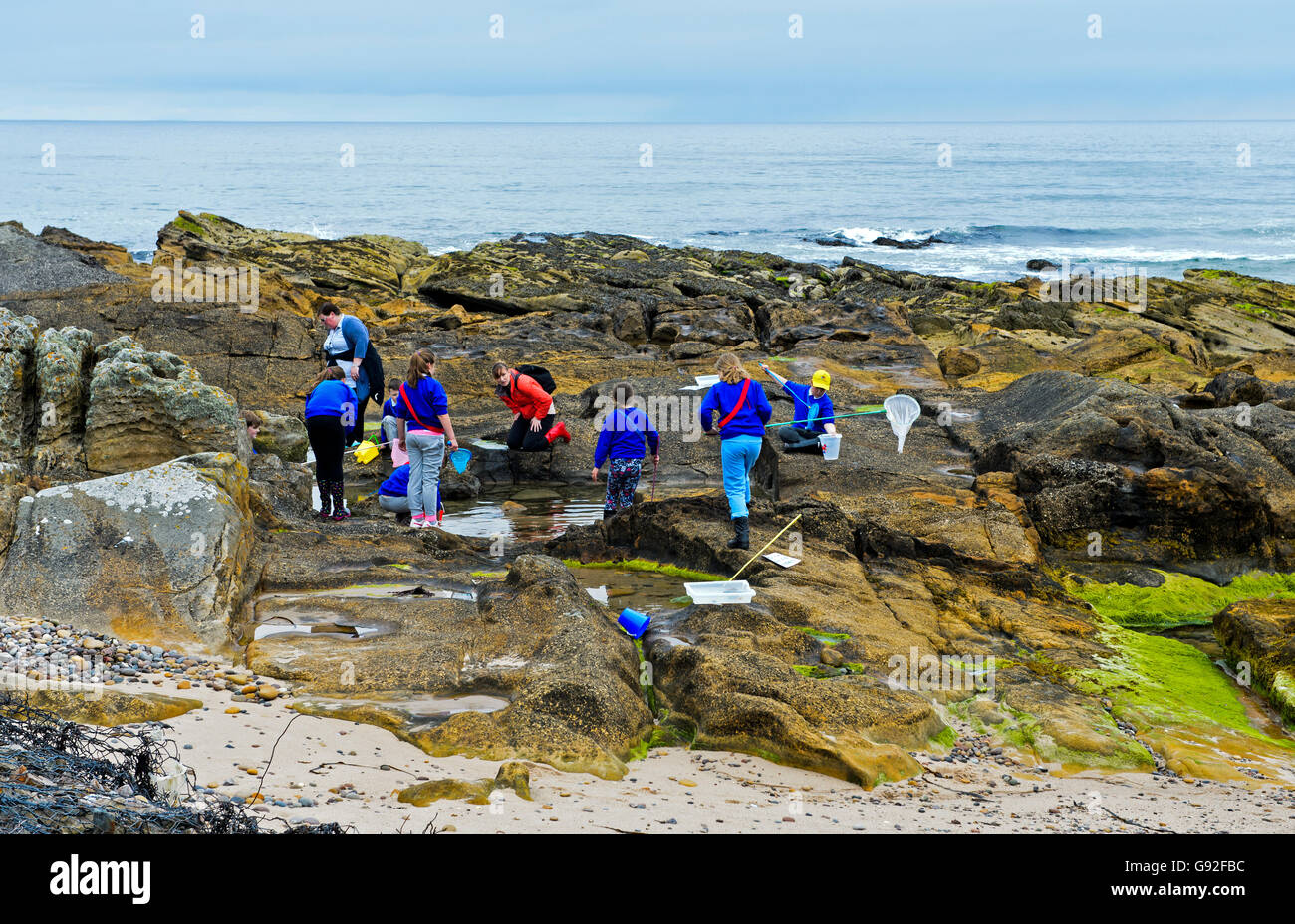 Students on a natural scientifc excursion on the cliffs near Burghead, Scotland, Great Britain Stock Photo