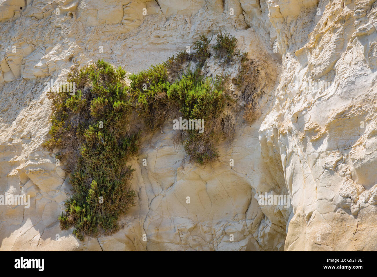 Rocky coast formed by sandy sediments and sandstone cliffs. Marsaskala on the coast of the Malta island in the Mediterranean. Stock Photo