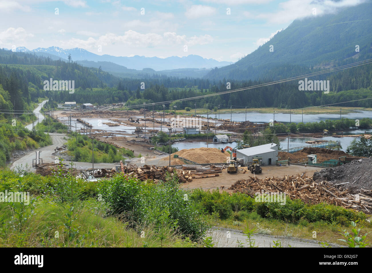 Lumber mill log storage with logging equipment, Telegraph Cove