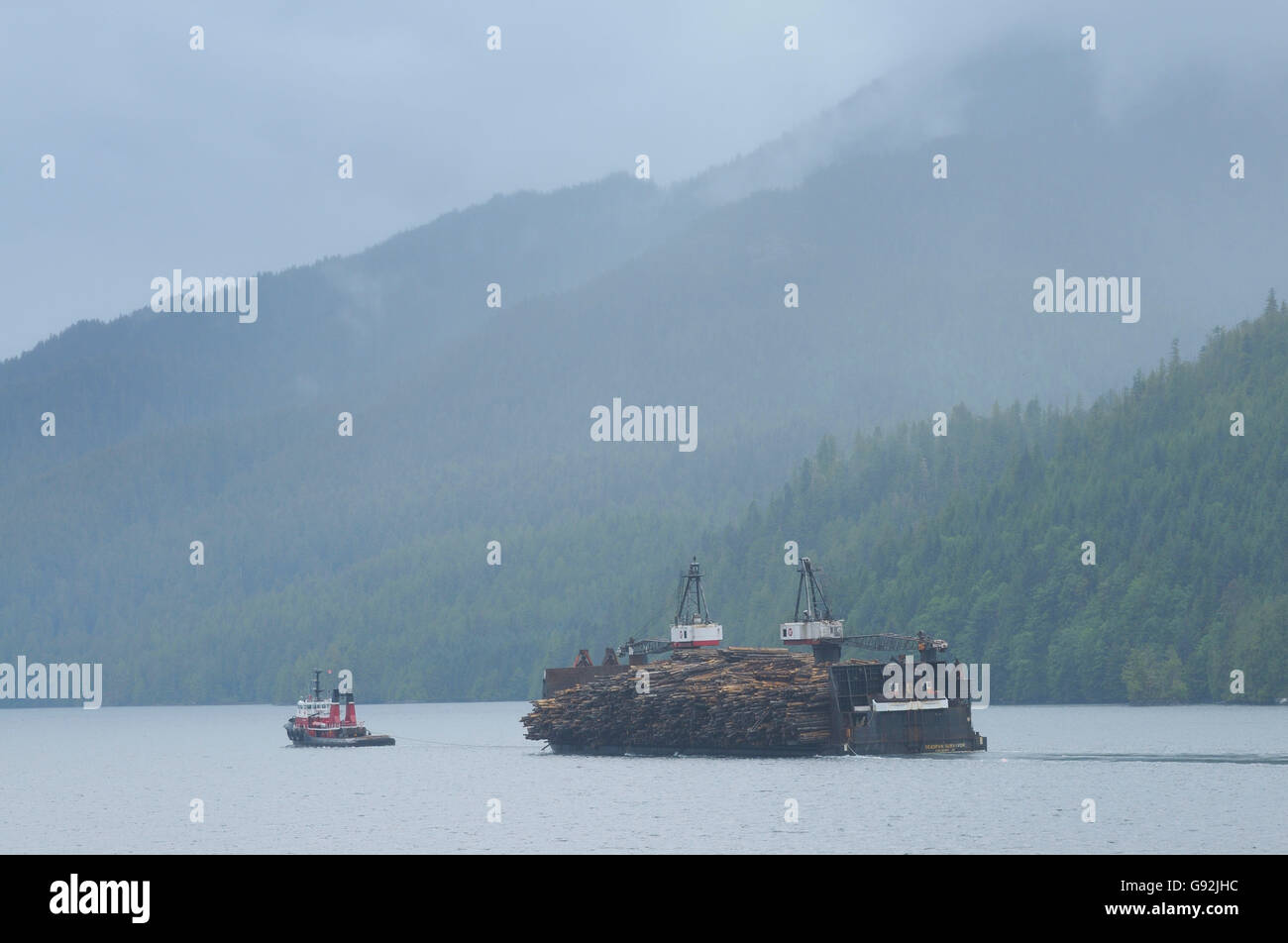 Tug boat with barge loaded with logs, Inside Passage, British Columbia, Canada / logging Stock Photo