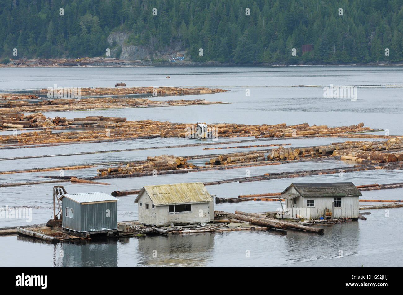 Canada lumber hires stock photography and images Alamy